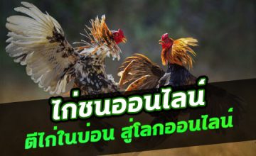 พนันไก่ชนราคาดีที่สุด