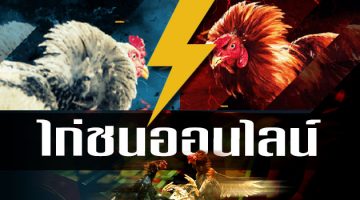 เดิมพันสด Maxbet